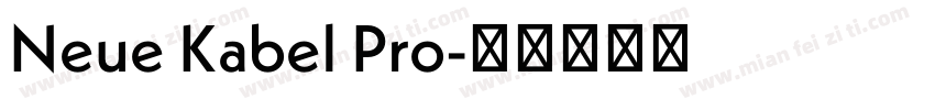 Neue Kabel Pro字体转换